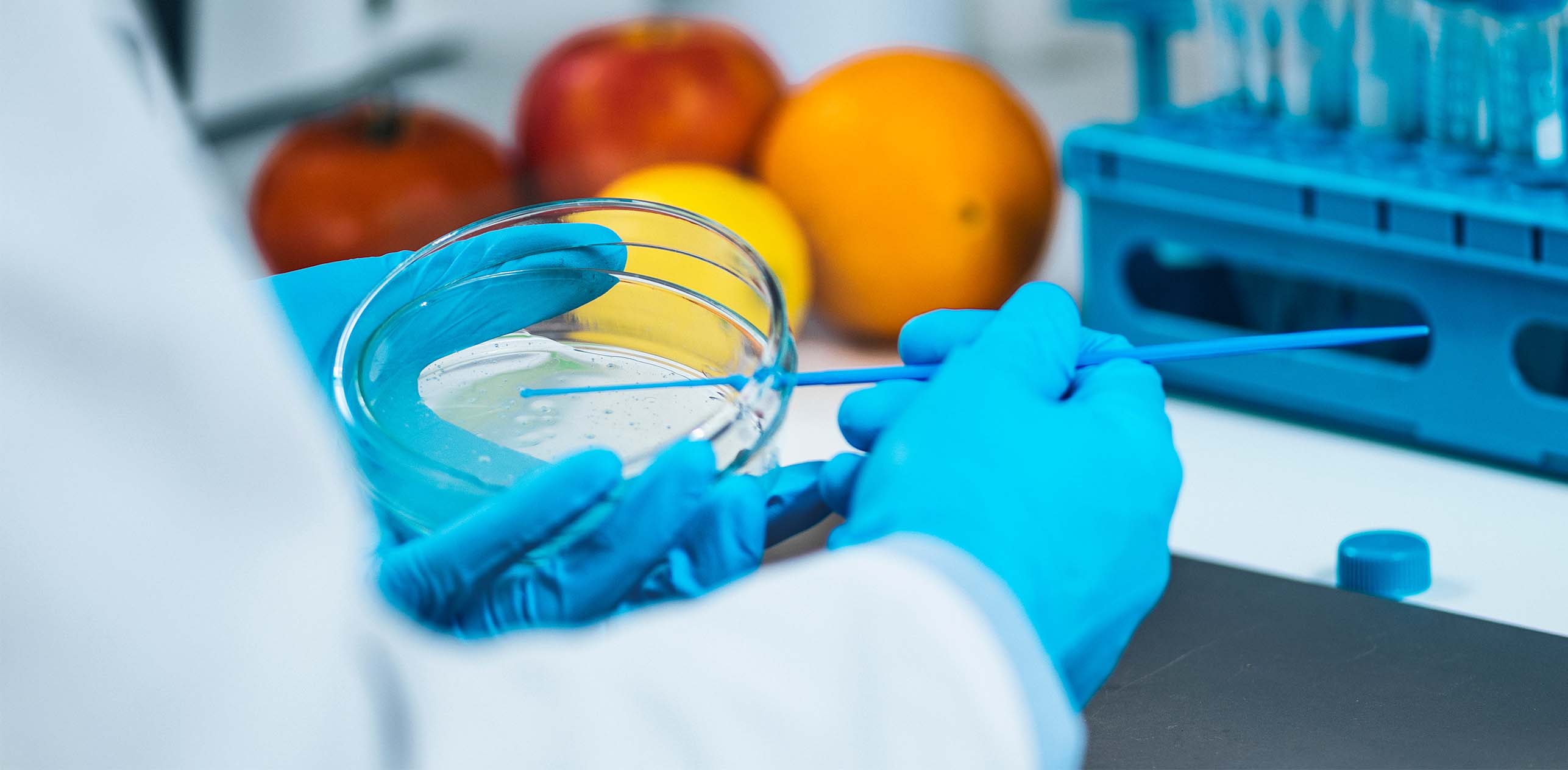Top 10 Trends for Greener, Optimised Food & Beverage Testing Laboratories